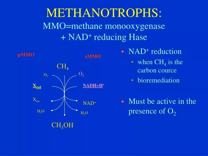 methanotr ophs mmo methane monooxygenase n ad reducing hase