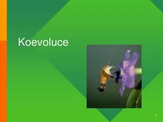 koevoluce