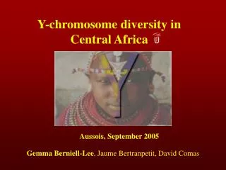 Y-chromosome diversity in Central Africa