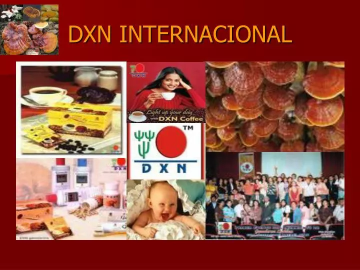 dxn internacional