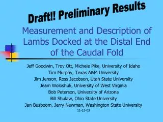 Measurement and Description of Lambs Docked at the Distal End of the Caudal Fold