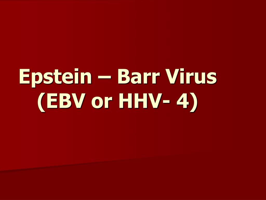 PPT - Epstein – Barr Virus (EBV or HHV- 4) PowerPoint Presentation