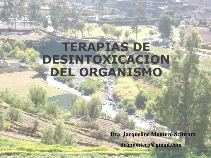 terapias de desintoxicacion del organismo