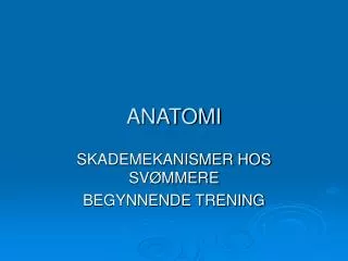 anatomi
