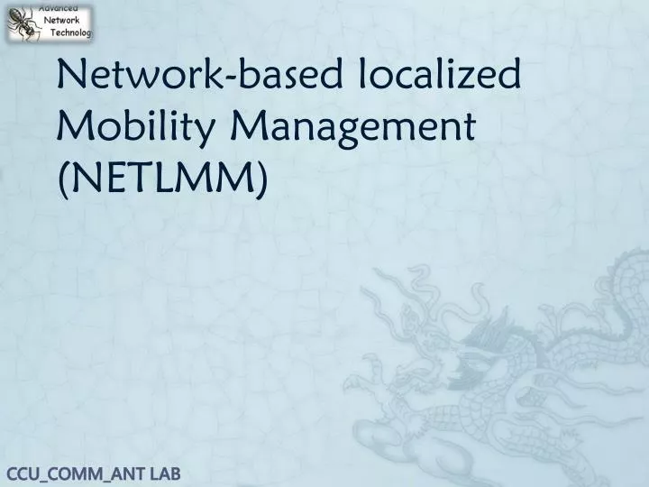 network based localized mobility management netlmm
