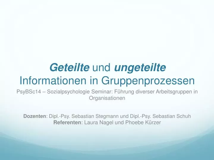 geteilte und ungeteilte informationen in gruppenprozessen