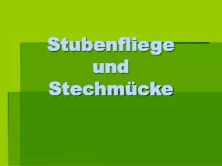 stubenfliege und stechm cke