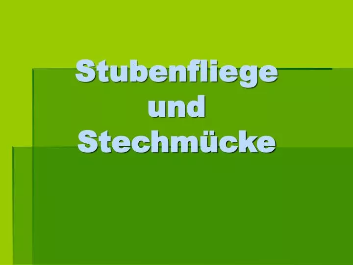 stubenfliege und stechm cke