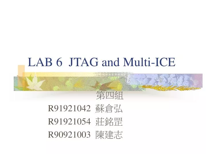 lab 6 jtag and multi ice