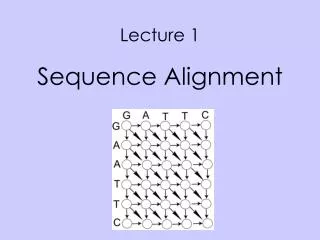 Lecture 1 Sequence Alignment