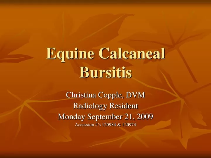 equine calcaneal bursitis