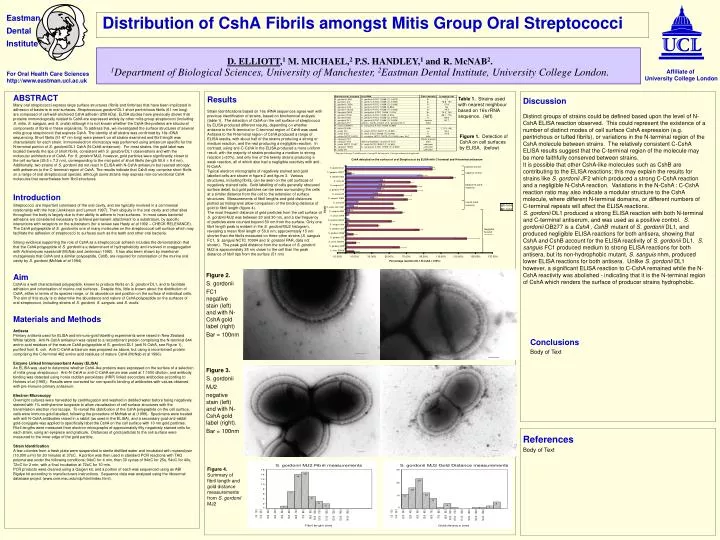 distribution of csha fibrils amongst mitis group oral streptococci