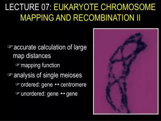 LECTURE 07: EUKARYOTE CHROMOSOME MAPPING AND RECOMBINATION II