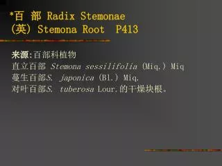 radix stemonae stemona root p413