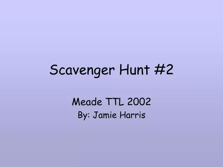 scavenger hunt 2