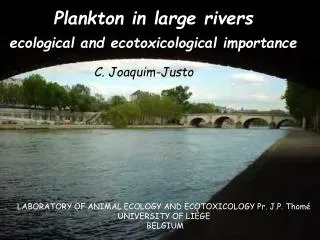 Plankton in large rivers ecological and ecotoxicological importance