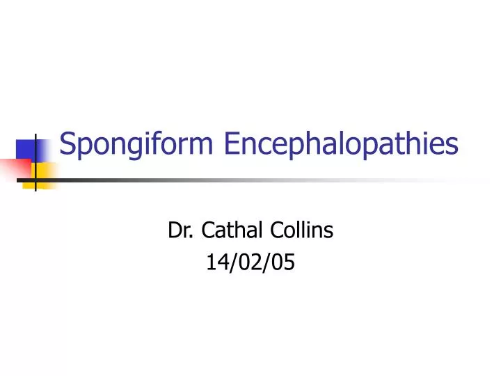 spongiform encephalopathies