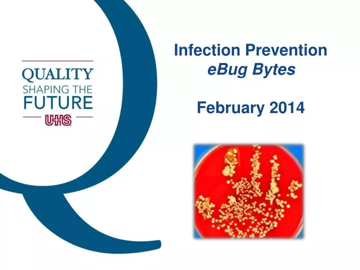 infection prevention ebug bytes february 2014