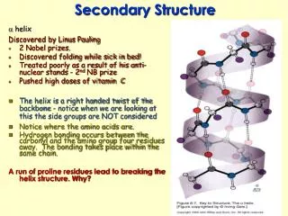Secondary Structure