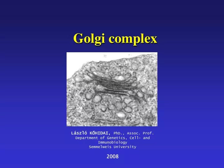 golgi complex
