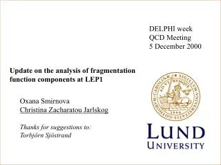 Update on the analysis of fragmentation function components at LEP1
