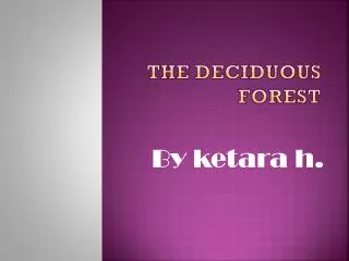 The Deciduous forest