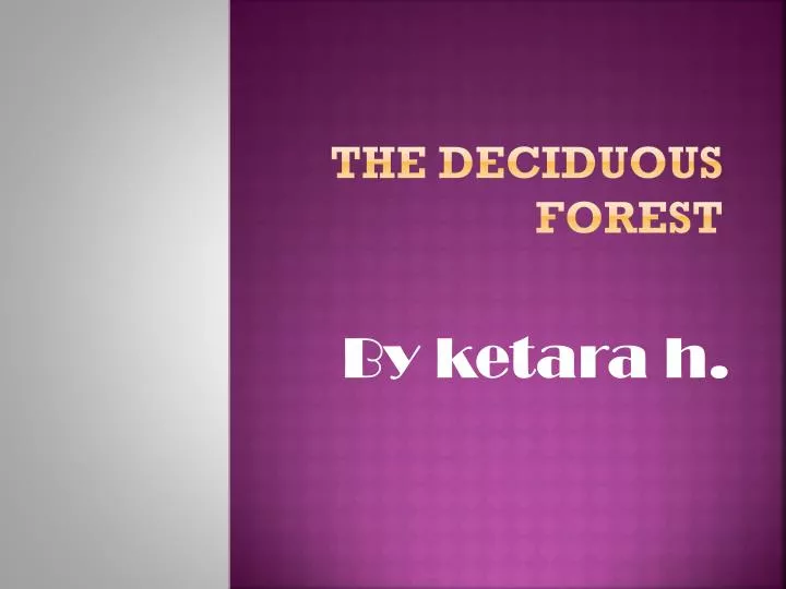 the deciduous forest
