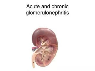 Acute and chronic glomerulonephritis