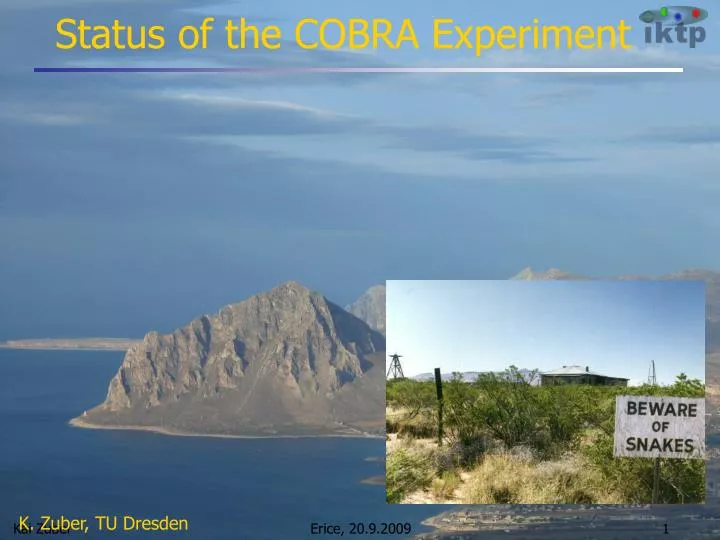 status of the cobra experiment