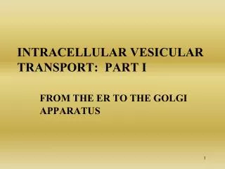 Intracellular vesicular transport: Part I From the er to the Golgi 	Apparatus