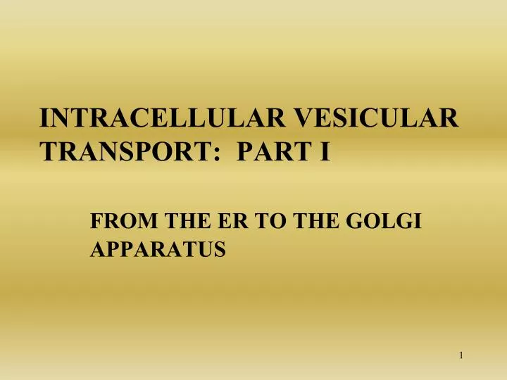 intracellular vesicular transport part i from the er to the golgi apparatus