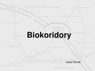 biokoridory