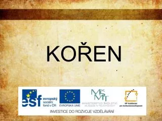 ko en