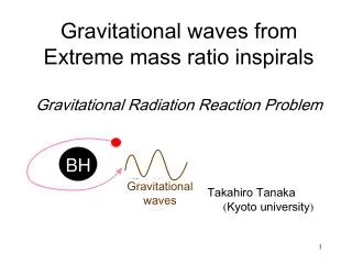 Gravitational waves from Extreme mass ratio inspirals Gravitational Radiation Reaction Problem