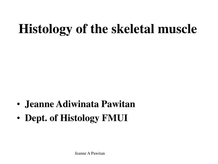 histology of the skeletal muscle