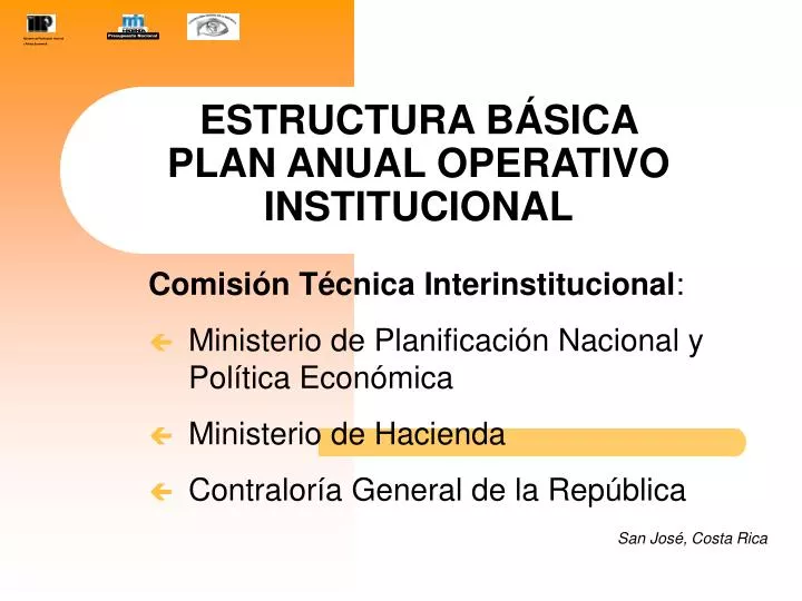 estructura b sica plan anual operativo institucional