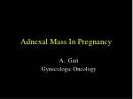 Adnexal Mass In Pregnancy - slide 1