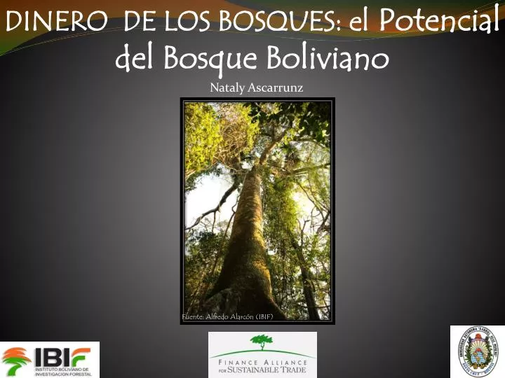 dinero de los bosques el potencial del bosque boliviano
