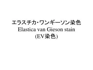 elastica van gieson stain ev