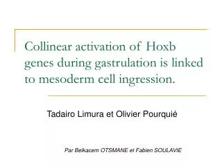 collinear activation of hoxb genes during gastrulation is linked to mesoderm cell ingression