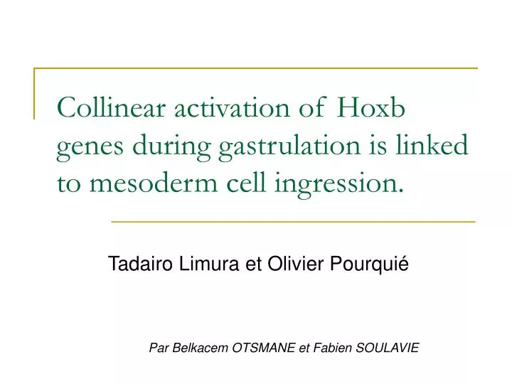 collinear activation of hoxb genes during gastrulation is linked to mesoderm cell ingression