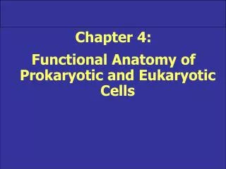 Chapter 4: Functional Anatomy of Prokaryotic and Eukaryotic Cells
