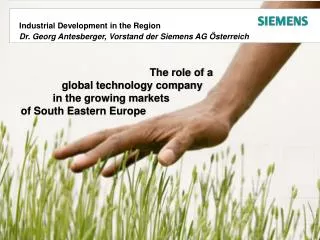 The role of a global technology company	 in the growing markets		 of South Eastern Europe