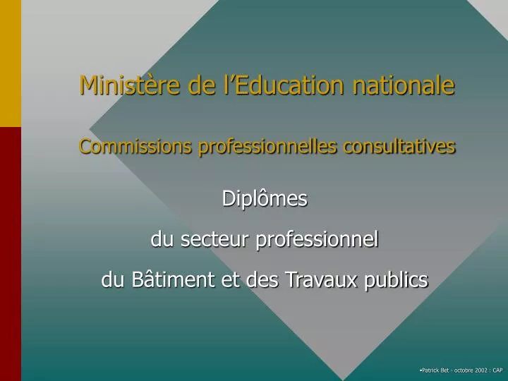 minist re de l education nationale commissions professionnelles consultatives