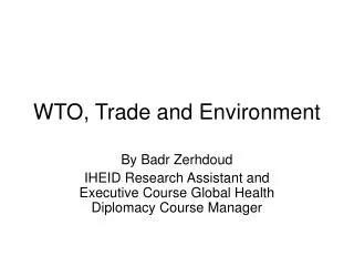 wto trade and environment
