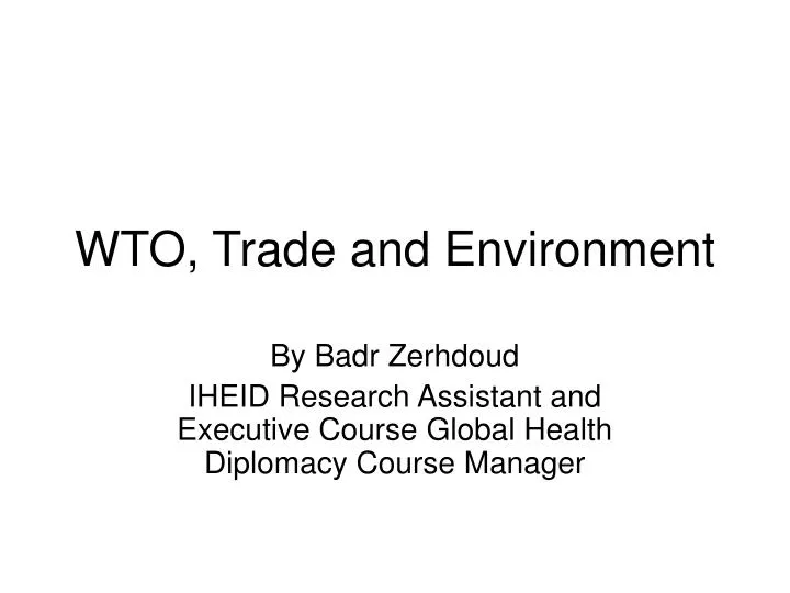 wto trade and environment