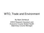 WTO, Trade and Environment - slide 1