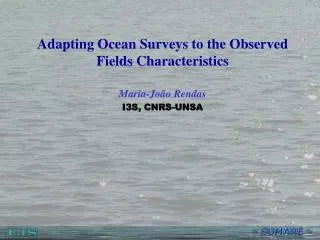 Adapting Ocean Surveys to the Observed Fields Characteristics