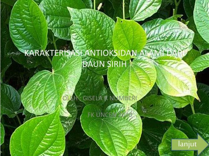 karakterisasi antioksidan alami dari daun sirih