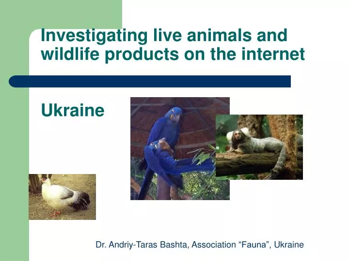 investigating live animals and wildlife products on the internet ukraine